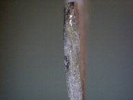 The tip of a fiberglass pick showing material transfer (brass) from the pin-tumblers inside the lock.