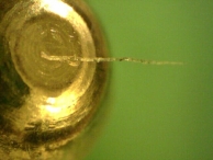A fragment of some material is found on the tip of one of the pins being examined.