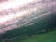 Long scratches on the side of a pin indicate that an adjacent pin was lifted high.